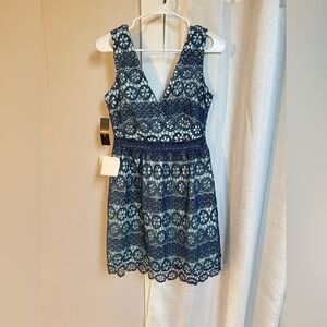 Elegant Navy Lace Dress